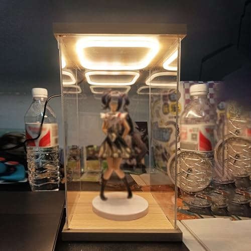 Vitrine en Acrylique Vitrine Transparente Haute Luminosité avec Éclairage LED 10/15/20/25/30/35/40/50/60cm, Boîte D'exposition en Acrylique avec Porte Et Éclairage, Vitrine(20x40x60cm/8x16x24in)