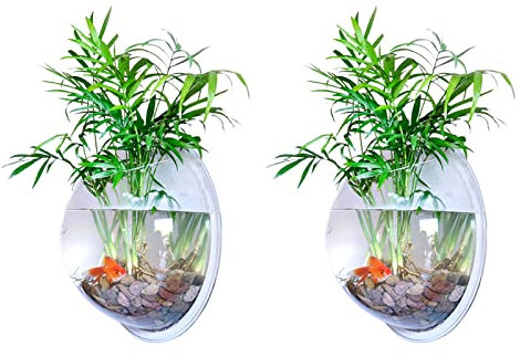 Flueyer Serbatoio da parete per pesci, in acrilico trasparente, rotondo, da appendere alla parete, per piante idroponiche, decorazione per piante da giardino