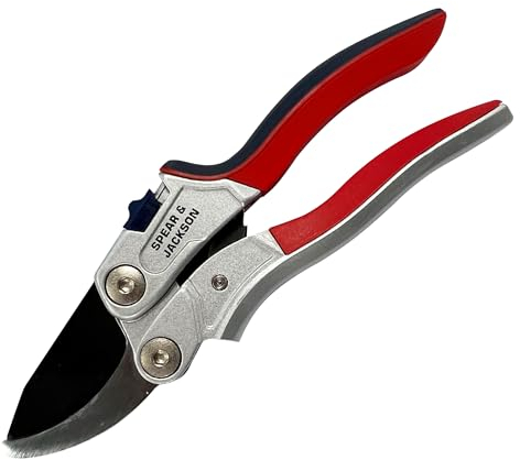Spear & Jackson 7759BS Compound Action Bypass Secateurs, Silver, Red and Blue