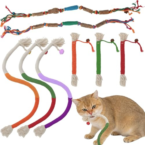 MOTIBACK 8 Stück Katzenspielzeug Matatabi Sticks & Katzenminze, Natürliche Zahnpflege Kausticks für Katzen, Interaktives Spielzeug für Hauskatzen, Kauen & Beißen