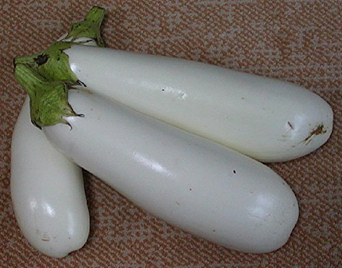 Heirloom Heritage White Aubergine Eggplant Seeds. Casper Certified Organic Grower