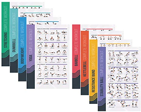 PosterMate - Profi Fitness Poster fürs Training - 8er Set - 51 x 76 cm - verschiedene Sportübungen - Perfekt geeignet für Körpergewicht, Homegym, Kurzhantel, Langhantel, Yoga, Kettlebell, Dehnen