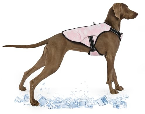 Manteau Rafraichissant pour Chien, Veste D'été Cool Respirante Gilet Refroidissement Veste Gilet Estival Chiens Vêtements Rafraîchissant pour Chiens Activités en Extérieur(Rose, XL)