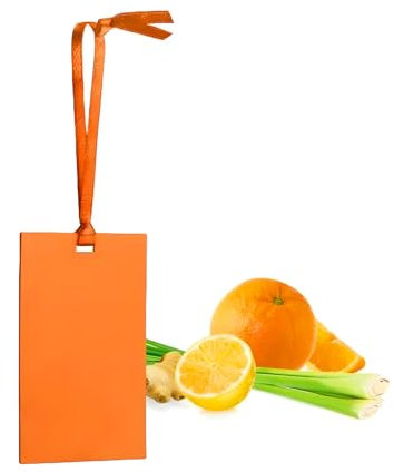 Avilia Carta Profumata Deodorante per Cassetti e Armadi Fraganza Fresca agli Agrumi - Ideale per Mantenere Abiti Profumati e Freschi o per Ambienti Come Bagno e Auto - Durata 4/5 Settimane