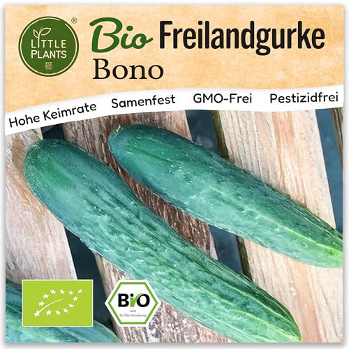 Little Plants BIO Freilandgurken Samen 5 Gurkensamen Bono Gemüsesamen Samenfest für Gemüsegarten Gemüse Samen für Küche, Balkon, Hochbeet und Garten