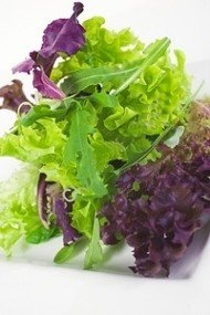 PREMIER SEEDS DIRECT - Lettuce Seeds - Gourmet LOOSELEAF Cutting Mix - 1500 Seeds