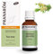 PRANARÔM - Tea Tree Bio - Huile Essentielle Chémotypée - Défenses Naturelles - 100% Pure Et Naturelle - HECT - 30 ml