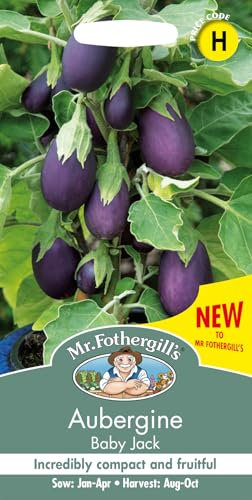 Mr Fothergills Seeds Aubergine Baby Jack Seed