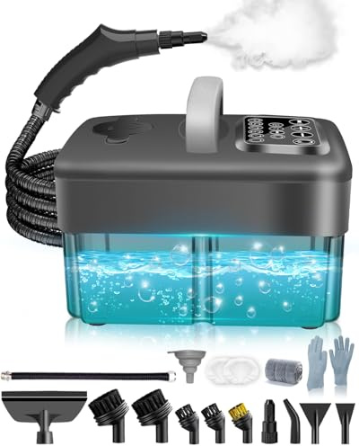 Mecmic Steam Cleaner for Home - 1600ML Water Tank 15s Heat-Up Portable Steamer for Cleaning, 6 Level Adjustable, 2500W, 45PSI, 250°F Steam, Handheld Steam Cleaner for Car Detailing, Grease,Silver