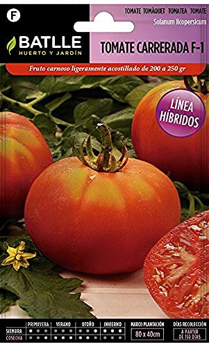 Semillas Batlle Tomate hibrido CARRERADA 15 F-1
