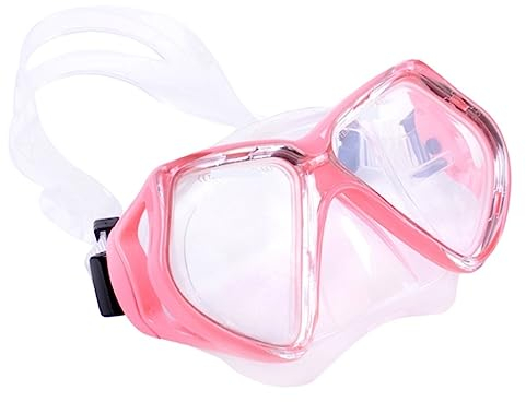 Taucherbrille Schnorchelausrüstung Anti-Fog Anti-Leck-Tauchmaske Und Schnorchel-Set Für Erwachsene, Leichte Schnorchelmaske Tauchmaske (Color : Rosa, Size : 17 * 9cm)