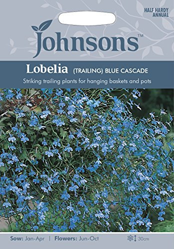 Johnsons 16526 Flower Seeds, Lobelia (Trailing) Blue Cascade