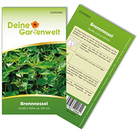 Brennnessel große Samen - Urtica dioica - Brennnesselsamen - Kräutersamen - Saatgut für 250 Pflanzen