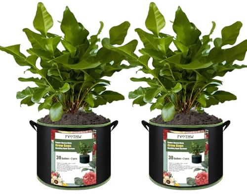 FVOTNW Paquete de 2 bolsas de cultivo de plantas de 30 galones, macetas de tela no tejida gruesa con asas, macetas de jardín duraderas, contenedor de aireación para plantas, verduras y flores