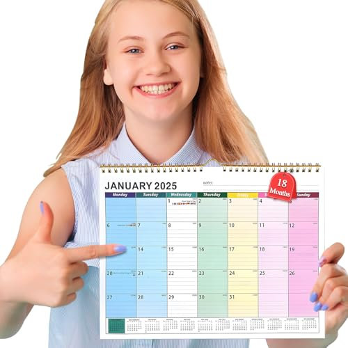 OEEYYT 2025 Calendar Wall Calendar 2025, From January 2025 to June 2026, 2025 Family Calendar Uk 31 x 22cm Month to View Efficient Home or Work Planning Calendars 2025/26