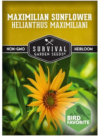Maximilian Sunflower Seeds for Planting (Helianthus maximiliani) | 10-Foot Prairie Giant | Fall Blooming Pollinator Magnet | North American Native Wildflower Seed to Plant - 1 Pack