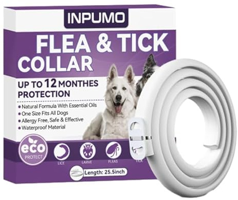 Collier Anti Puces pour Chien, Réglable Et Étanche Collier Antiparasitaire Chien 12 Mois, Naturel Imperméable Élimine Puces, Tiques, Poux (1 pièce)