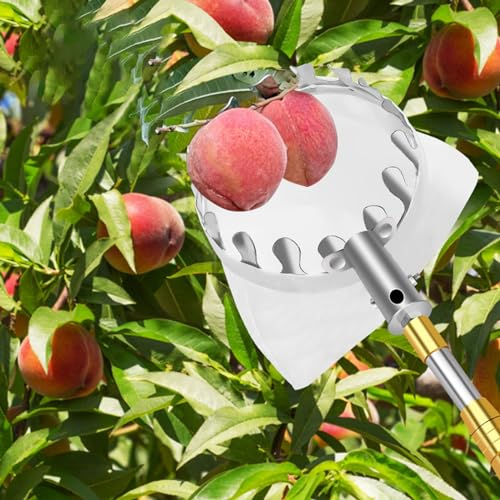 raccogli asparagi pinza frutta Palo Raccoglitore Di Frutta In Metallo Con Cesto Telescopico, 2,5 M - 10 M Bastone Allungato Attrezzo Per La Raccolta Della Frutta Da Frutteto/ Pali Per La Raccolta Dell