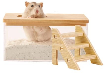 FiboPawer Transparent Rectangle Hamster Sand Bath Box for Hamster Cage Accessories, Digging Sand Container with Climbing Ladder, Large Sandbox for Hamsters Dust Bath and Play Sand，Large