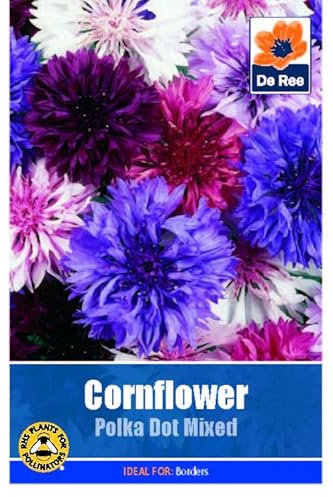 Cornflower Polka Dot Mixed - 290 Seeds Flower Plant Bedding Borders Containers Pots Grow Your Own Garden Plant Seed
