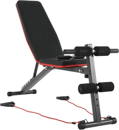 Zanbeel Foldable Gym Bench Weight Training Fitness Incline Adjustable Workout Gym