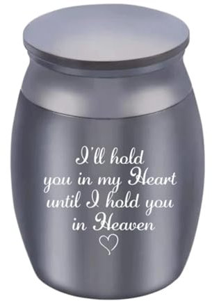 Lot de 2 mini boîtes à cendres funéraires en acier inoxydable pour petits animaux (gris)