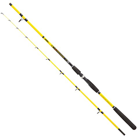 JENZI Continuum 1,40 m 20-100 g