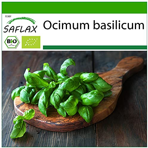 SAFLAX - BIO - Basilico - Dolce Genovese - 800 semi - Ocimum basilicum