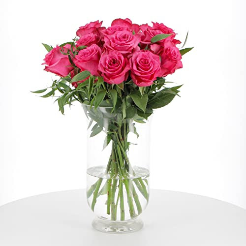 KENTIS - Bouquet di 12 Rose Fucsia a Stelo Lungo 50 cm - Mazzo di Fiori Freschi a Domicilio in Italia - Rose Vere Regalo