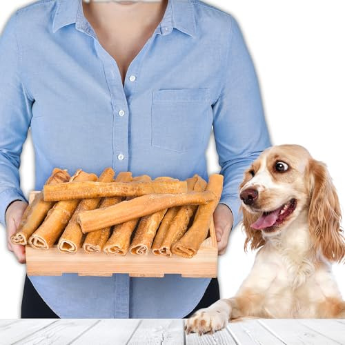 Lot de 10 croquettes en peau de porc - 20 cm - Friandise naturelle pour chien - Friandise à mâcher pour chien de toutes tailles
