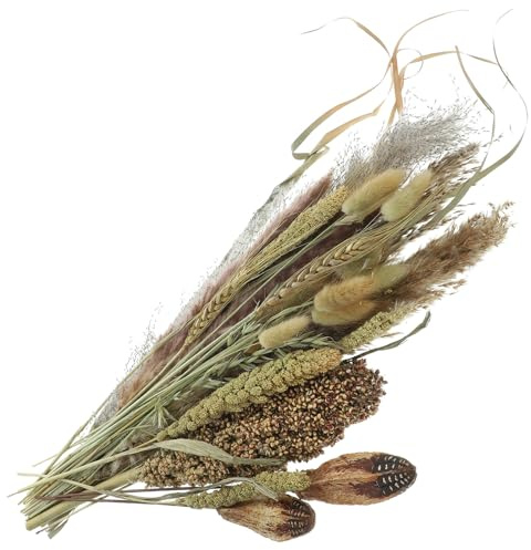 AKOOSY Bouquet de Fleurs Séchées Pampas Fluffy Décoratif Décoration de Table Bohème pour Intérieur Herbe de Pampa Naturelle pour Mariage Salon et Événements