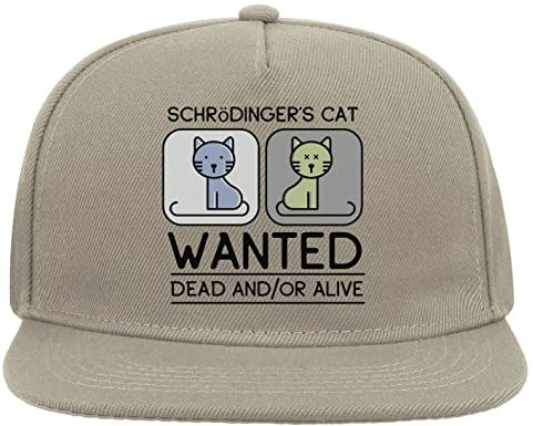 Shrodinger's Cat Wanted Dead and Or Alive Funny 5 Panel Snapback Flat Visor Cap Hat Baseballmütze Grau