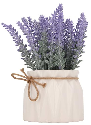 Itonash Künstliche Blumenpflanzen, Kleine Künstliche Pflanzentöpfe mit Topf, Kunstpflanzen aus Kunststoff Künstliche Pflanzen Im Innen- und Außenbereich, Zuhause, Cafés, Tisch,