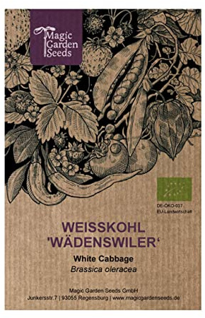 Vitkål 'Wädenswiler' (Brassica oleracea) - ca 30 ekologiska frön