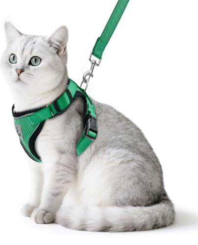 PUPTECK Set med kattsele och koppelset, rymningssäker, rymningssäker, justerbar kattsele för kattungar och katter, mjukt nät, ventilerande, infällbar, utomhus, med remsor