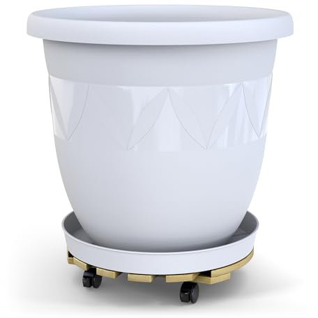 Plastard Pflanzroller mit Capri Blumentopf Ø 55 cm mit Untersetzer Weiß, Witterungsbeständig, Kunststoff-Pflanzkübel für Innen & Außen, Rollen mit Feststellfunktion