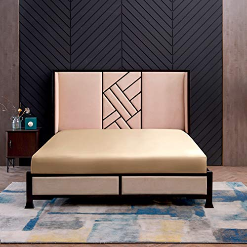 THXSILK Seide Spannbettlaken Spannbetttücher Seide Bettlaken 100% Maulbeerseide 19 Momme mit Rundumgummi (180x200+30cm, Champagner)