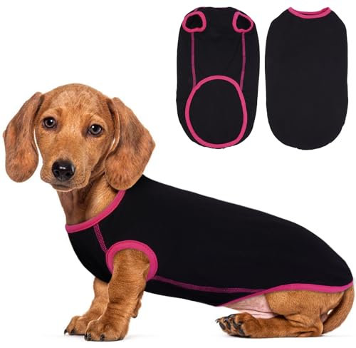 Lelepet Dachshund Shirt, Soft Classic Dog T-Shirt, Stretchy Clothing with Colored Edging, Dog Sweatshirt for Boy Girl, Black XS