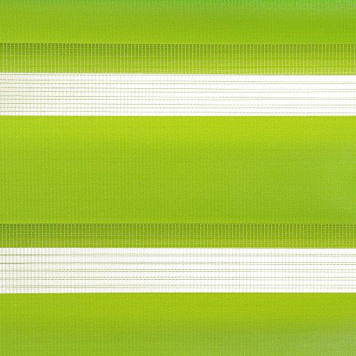 Liedeco Doppelrollo, Klemmfix Duo-Rollo Young Colours«, Lichtschutz, Fixmaß, ohne Bohren