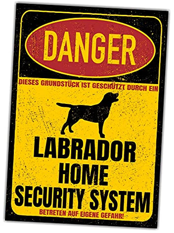 Labrador Labby skylt Danger Security System dörrskylt hundskylt varningsskylt hund