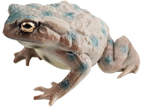 Toad Kids Toy - Bullfrog -Figurenmodell, Froschstatue Sammlerstück | Nette PVC - -Figuren, lustige Tierminiaturen, dekorative Spielzeugfiguren für Klassenzimmer, Kinderzimmerausstellung