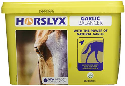 Horslyx - Snack da leccare per cavalli (5 kg) (Aglio)