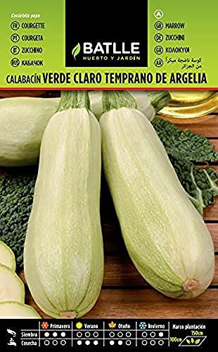 Batlle Gemüsesamen - Frühzuchhini aus Algerien (60-80 Samen)