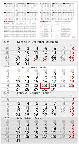 4 Monatskalender 2026 Wandkalender mit Schieber - INFO Kalender 2026 Wandkalender 30 x 56 cm groß - Bürokalender | mit Schulferien, Feiertagen & Jahresübersicht (INFO 4-MONATS (1 Stück))
