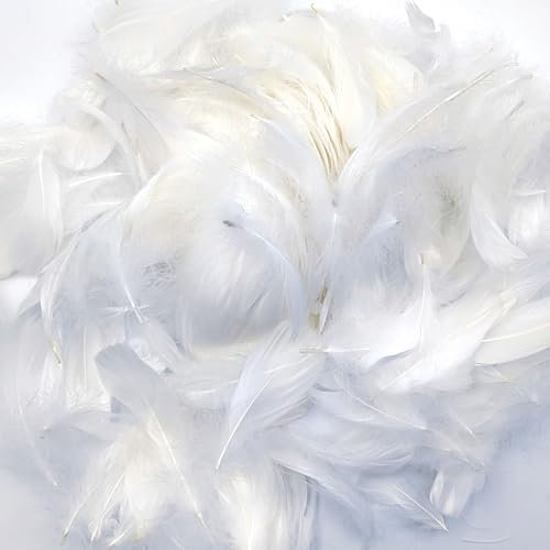 AIZHAZHA 300 Stück Federn Weiss 6~12cm, Federn zum Basteln, Flauschige Federn, Ostern Deko, Weiße Federn,Flaumfedern Bastelfedern für DIY Ohrring, Traumfänger, Kopfschmucksfedern, Ostern