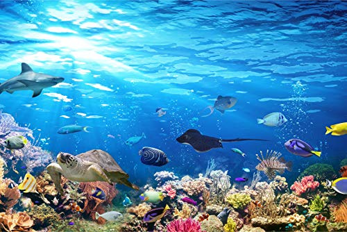 Muralo Fototapet fleece natur, ocean, hav, vatten, XXL – 416 x 254 cm