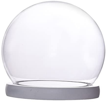 Glasglocke Glashaube Glassturz mit Sockel: Lampenschirm Rose Pflanzen Glaskuppel mit Holzboden Glas Kuchenglocke Sukkulenten Miniatur Lichterkette Glocke Wohnzimmer Tischdeko Valentinstag Deko