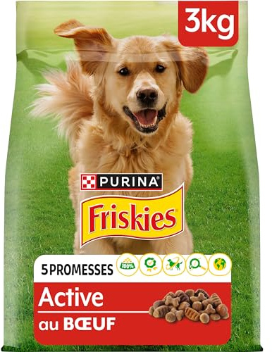 FRISKIES | Active | Chien | Croquettes pour Chiens Adultes | au Boeuf | Aide à Maintenir Un Niveau d'énergie élevé | Sac | 3 KG