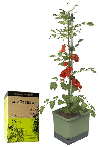GUSTA GARDEN Tom Tomato tomatkruka ljusgrå – blomkruka med växtstöd, bevattningssystem och fästkrokar – set inkl. 20 l jord – 4,5 l vattentank och 20 l jordvolym (mörkgrön, med jord)