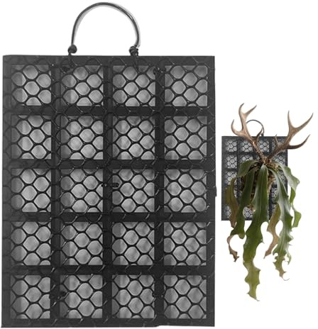 Kit de montage pour Platycerium | Panneau d'affichage support mural fougère | Montage pour Platycerium orchidées dans chambre, bureau, balcon, véranda, intérieur et extérieur